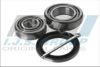 IJS GROUP 10-1393 Wheel Bearing Kit